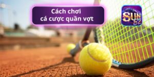 Thông tin về luật Tenis khi cá cược