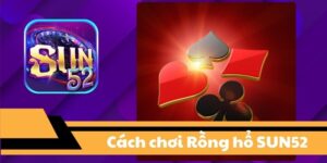 Cách chơi Rồng Hổ Sun52 chi tiết